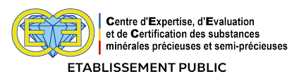 Établissement Public